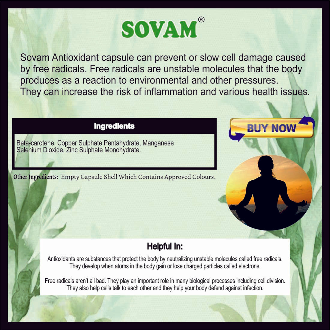 Sovam Antioxidant 30 Capsule