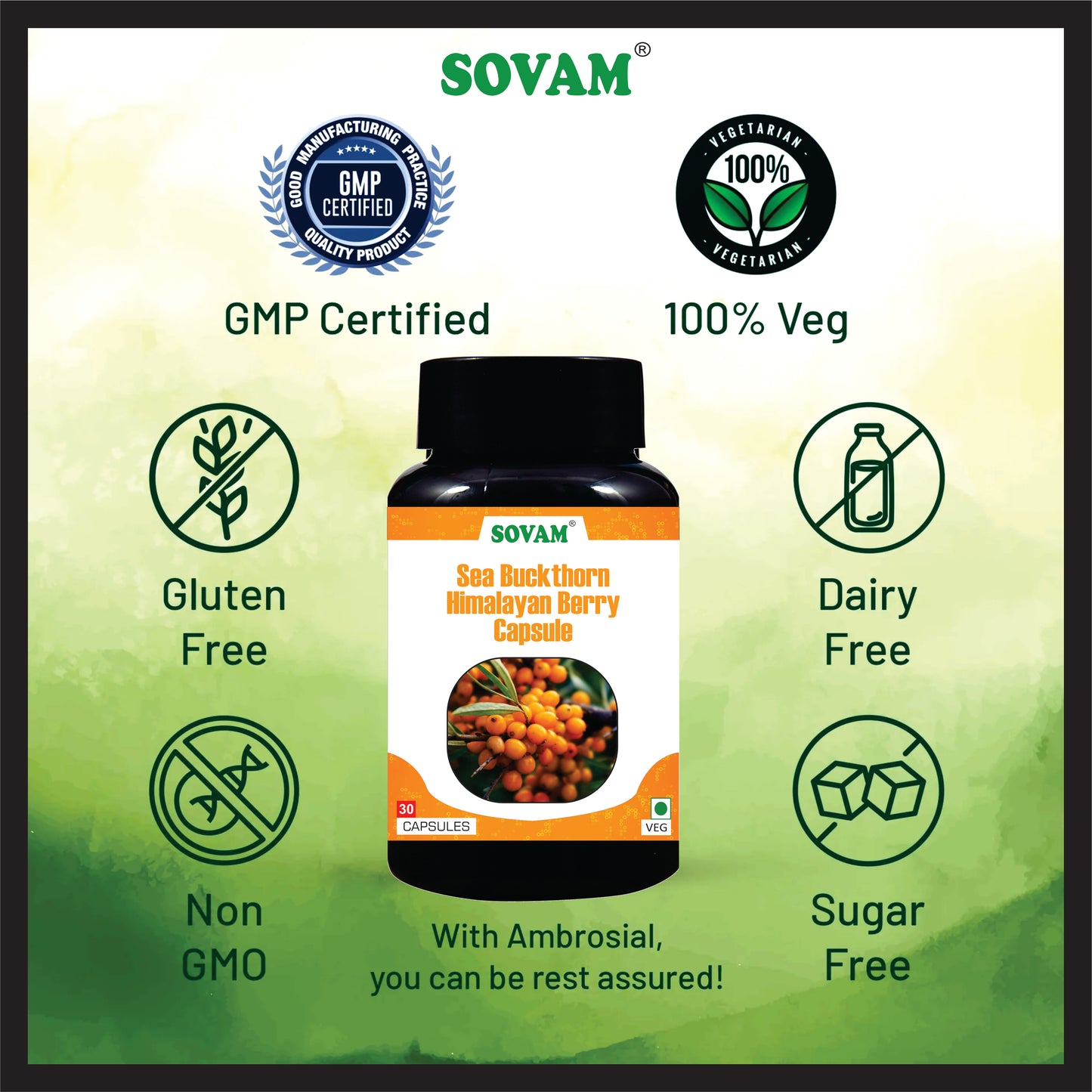 Sovam Anti-Addiction 30 Capsule