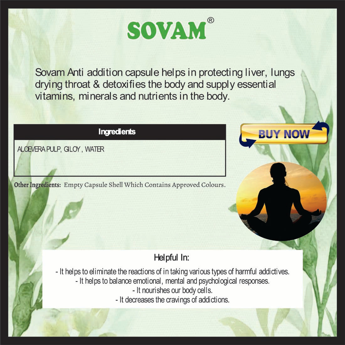 Sovam Aloe Vera Giloy Juice 500 Ml