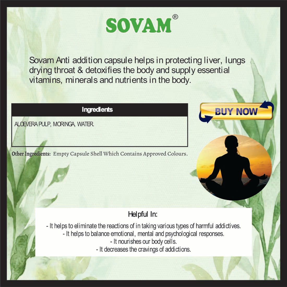 Sovam Aloe Vera Moringa Juice 500 Ml