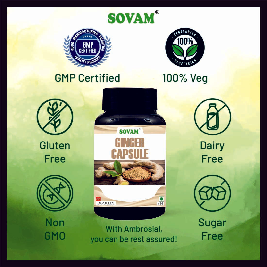 Sovam Ginger 60 Capsules