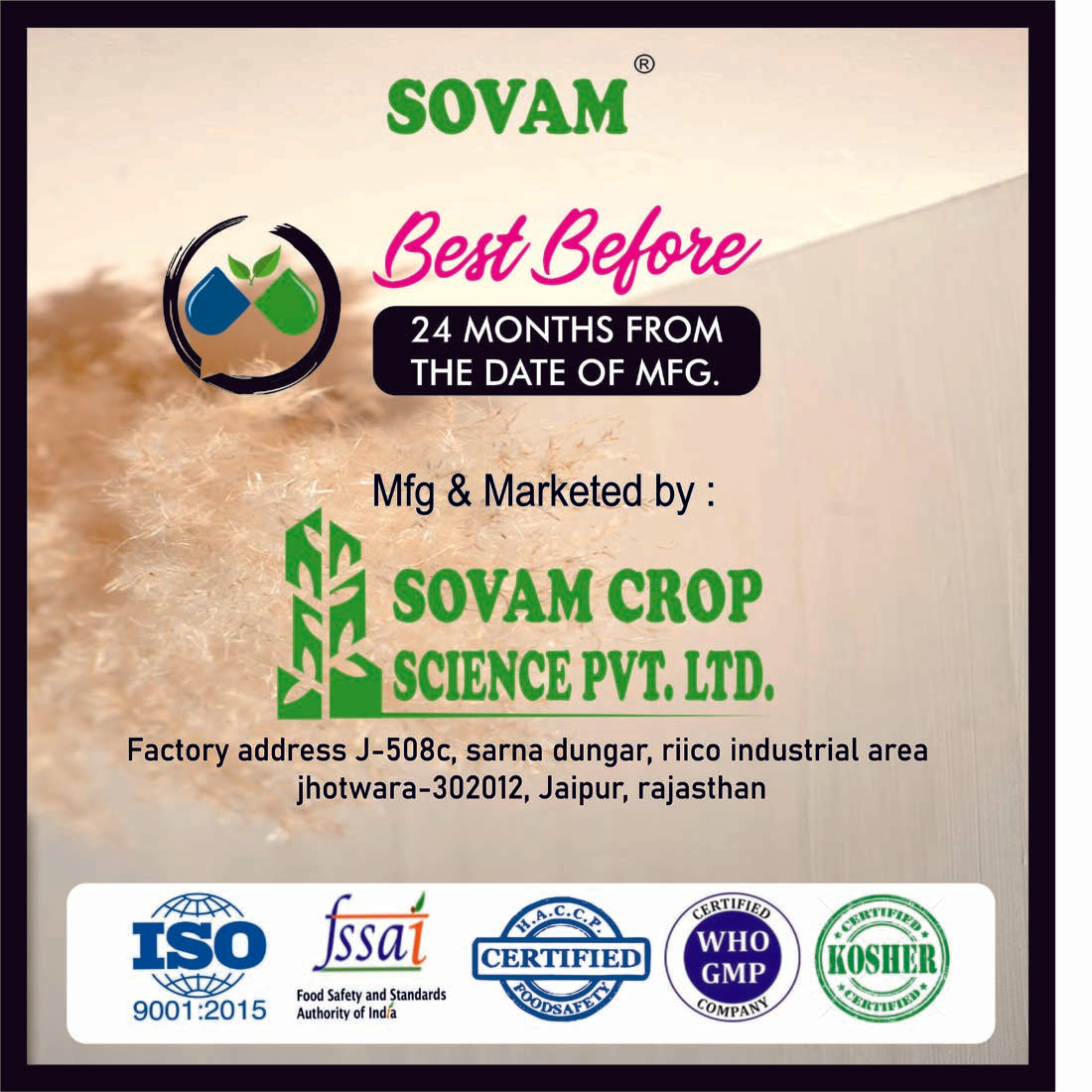 Sovam Ginger 60 Capsules