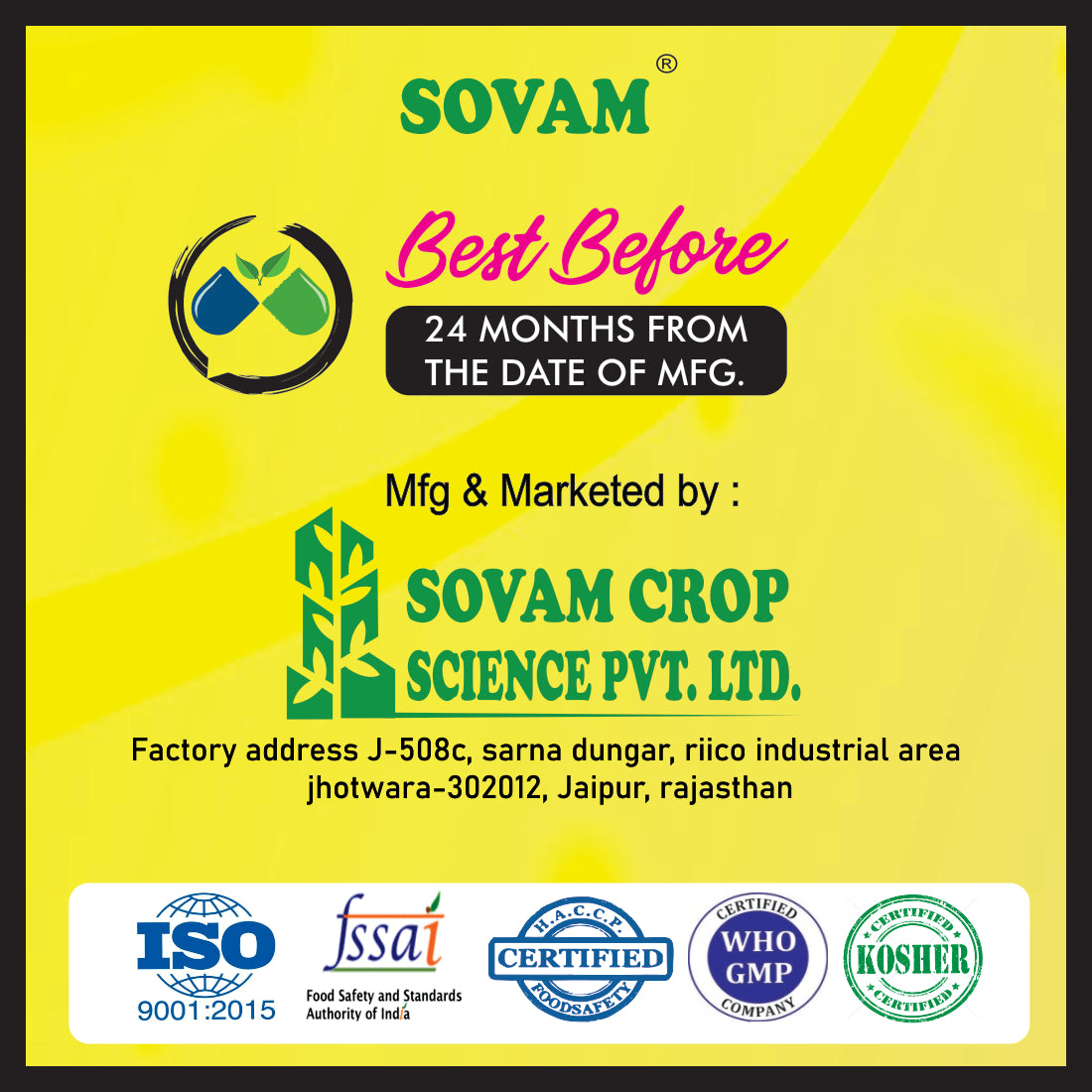 Sovam Ginger Liquid Drops 30 Ml