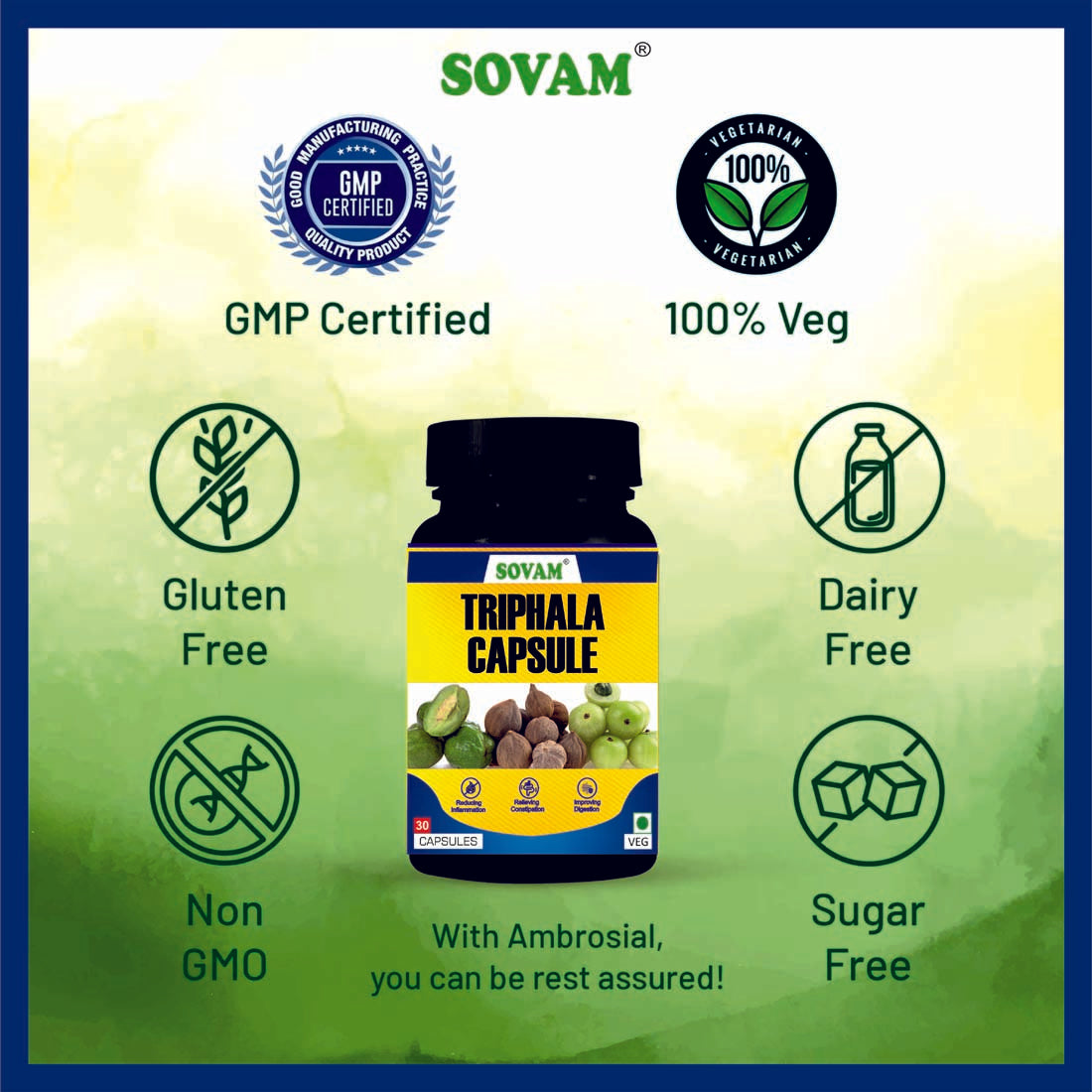 Sovam Triphala 30 Capsules