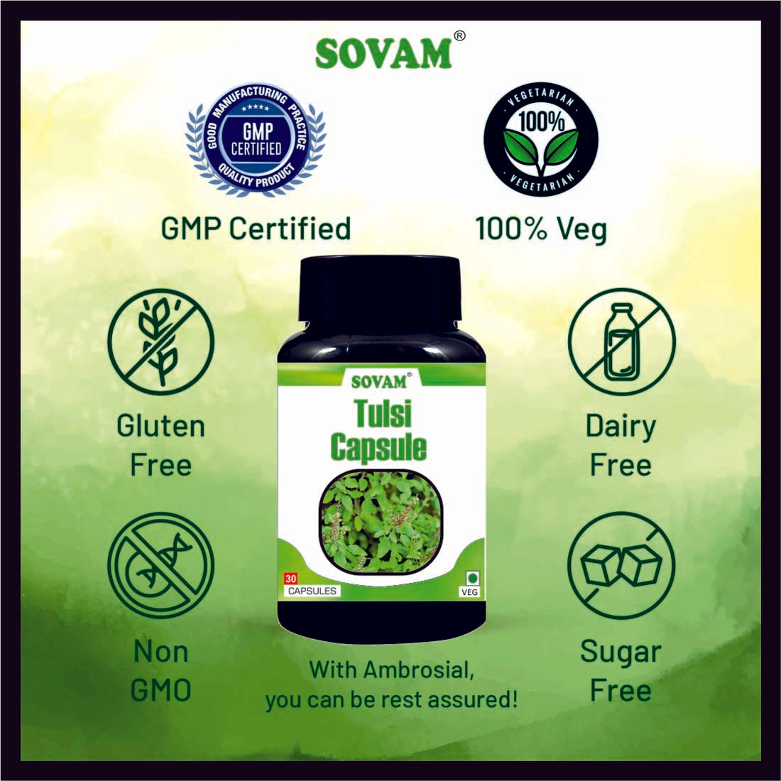 Sovam Organic Tulsi 30 Capsules