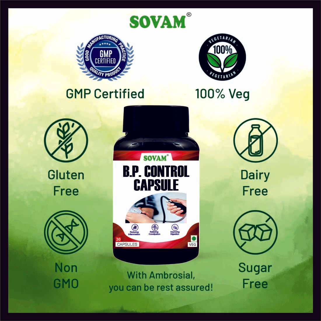 Sovam B.P Control 30 Capsules