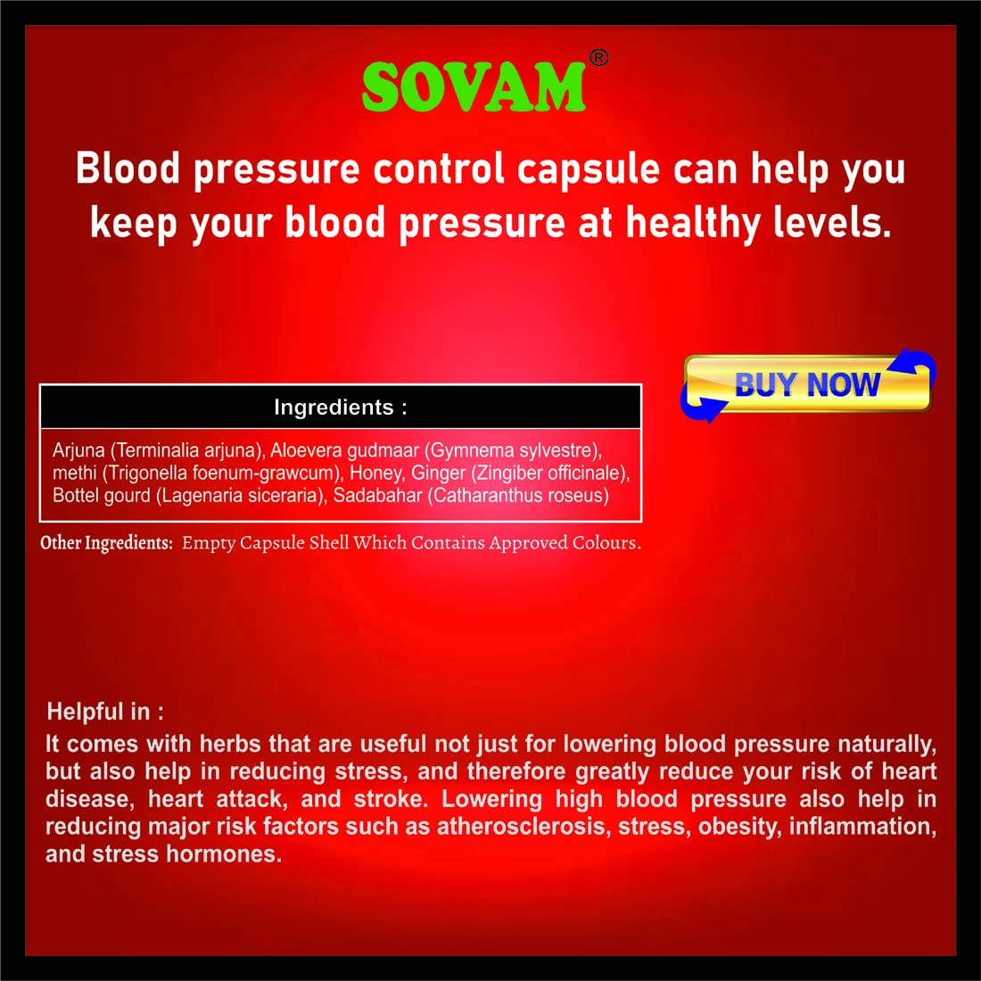 Sovam B.P Control 30 Capsules