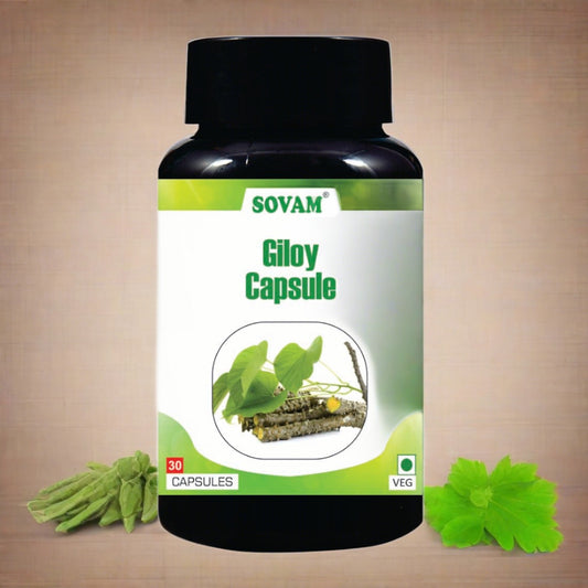 Sovam Giloy 30 Capsule