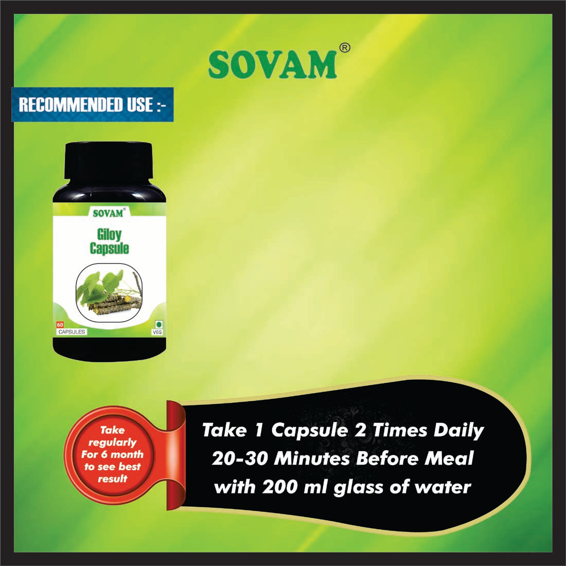 Sovam Giloy 60 Capsule