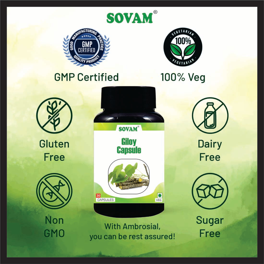 Sovam Giloy 30 Capsule