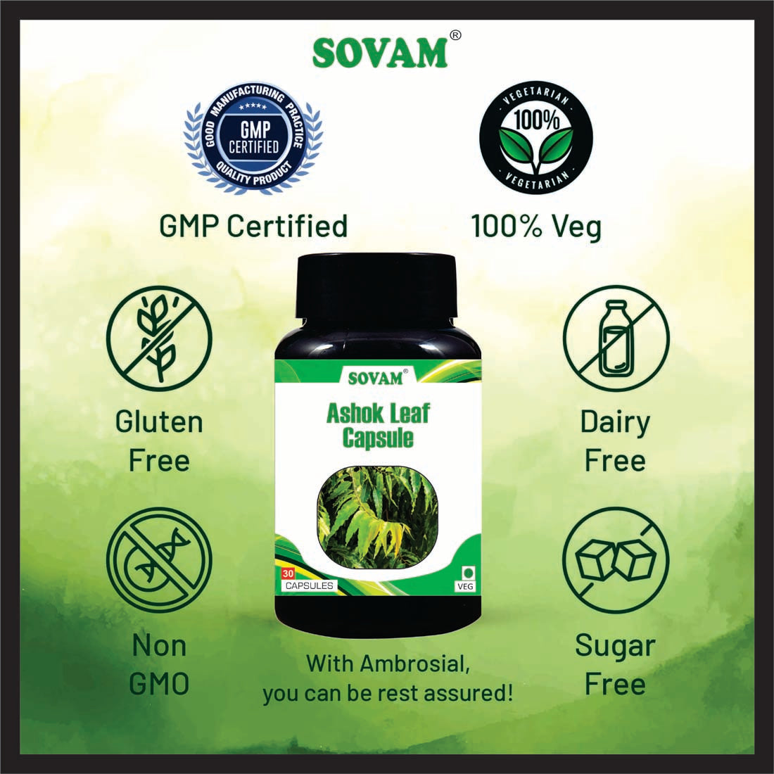 Sovam Ashok leaf 30 Capsule