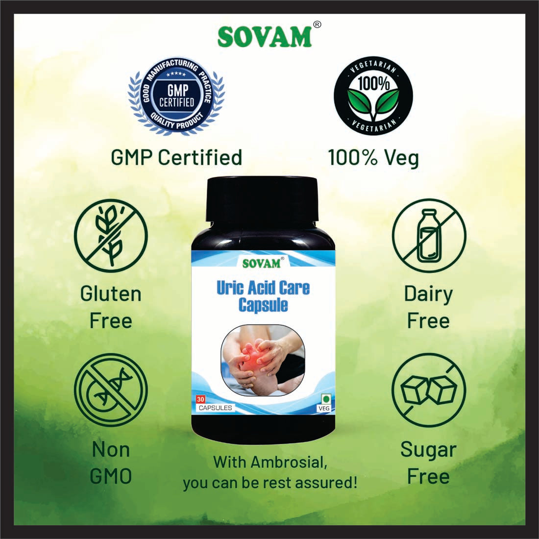 Sovam Uric Acid Care 30 Capsule