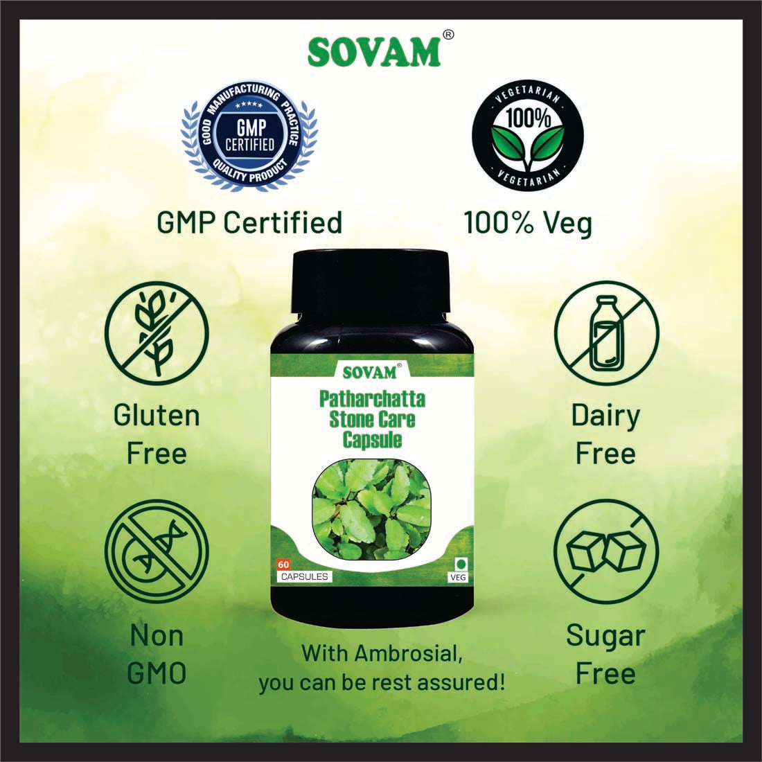 Stone Care Patarchatta Ayurvedic Medicine | Sovam Ayurveda