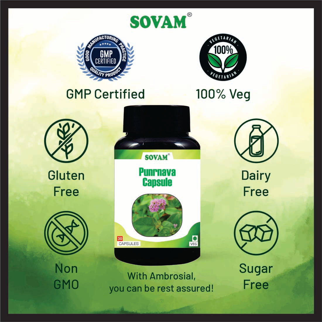 Sovam Punarnava 30 Capsules