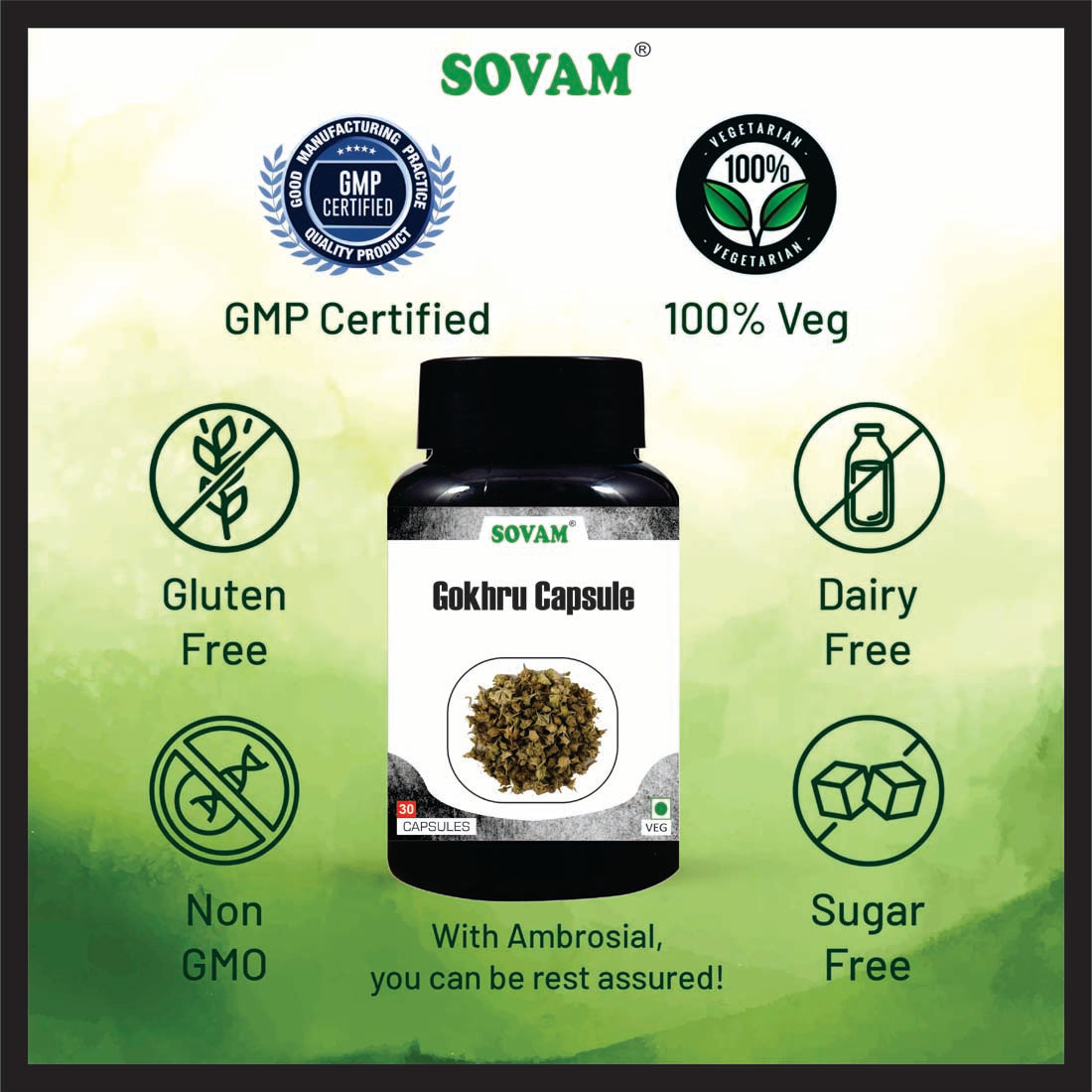 Sovam Gokhru 30 Capsule