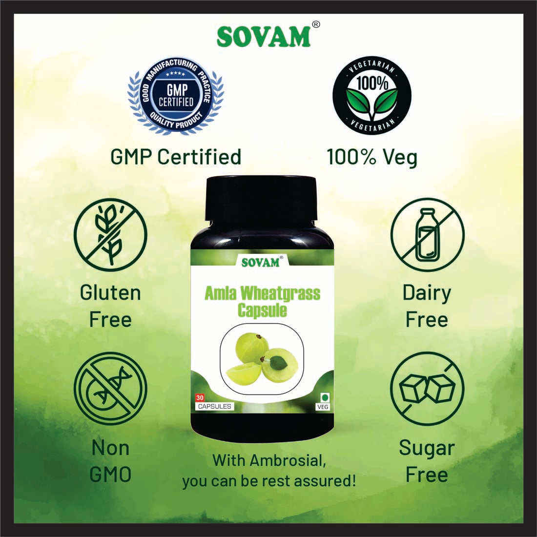 Sovam Amla Wheatgrass 30 capsules