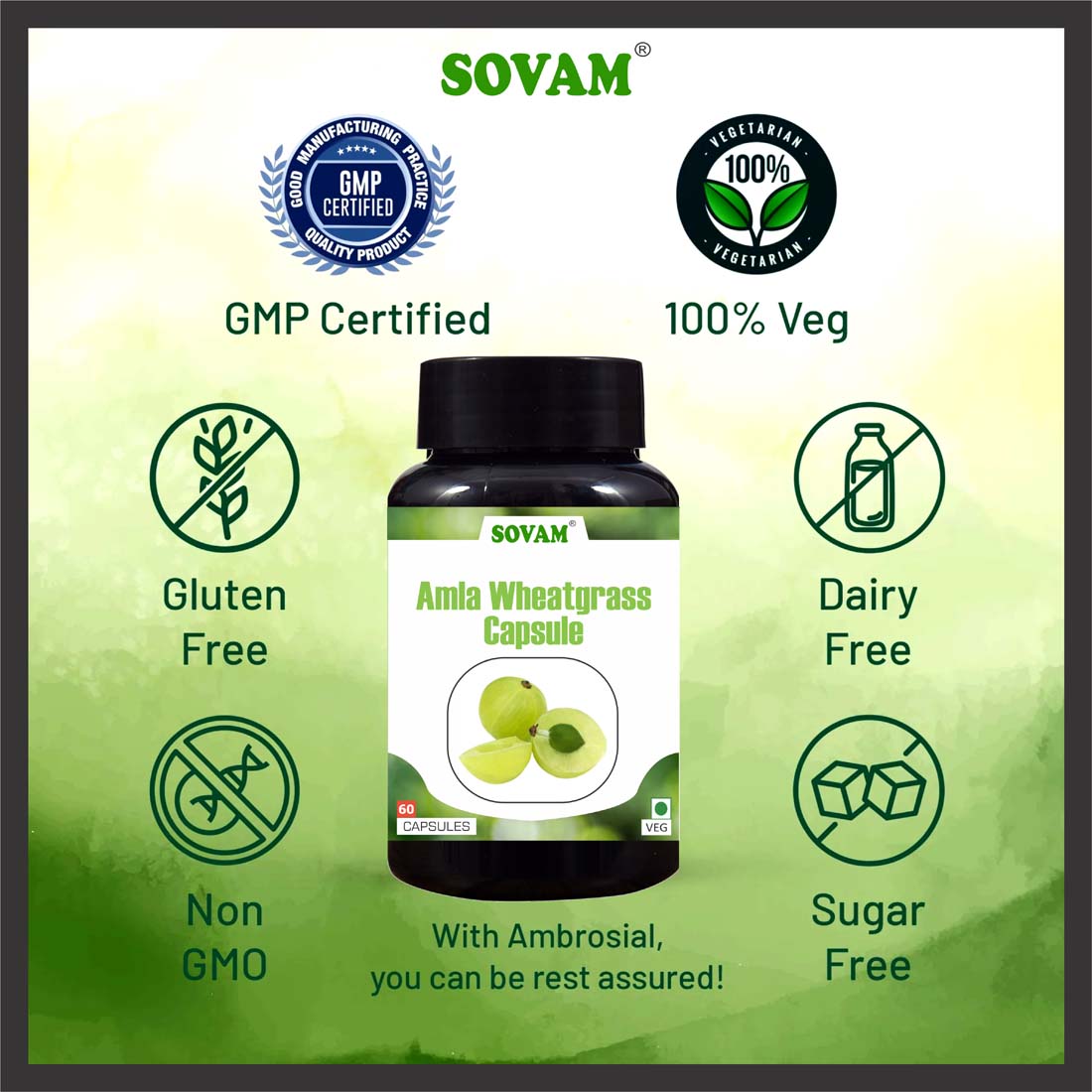 Sovam Amla Wheatgrass 60 capsules