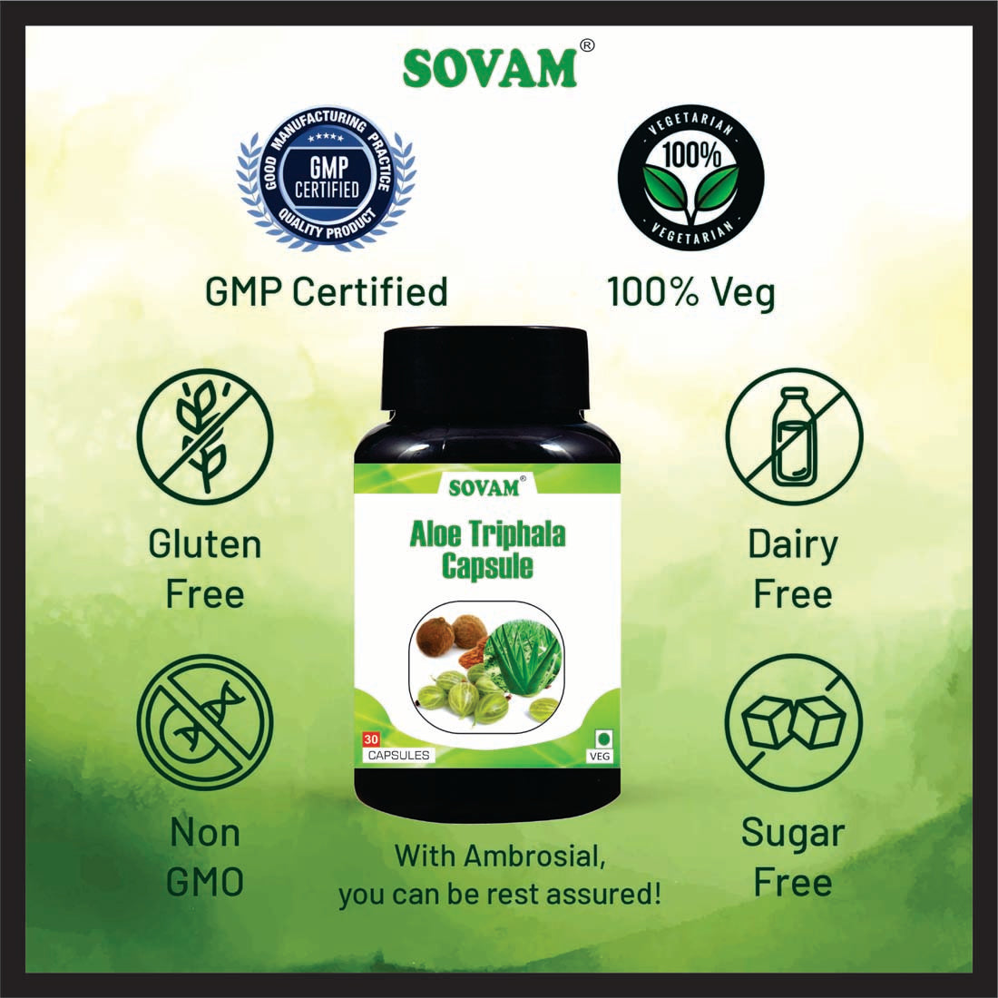 Sovam Aloevera Triphala 30 Capsules