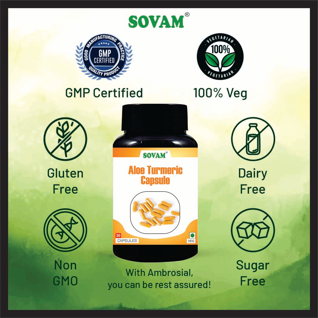 Sovam Aloevera Turmeric 30 Capsules