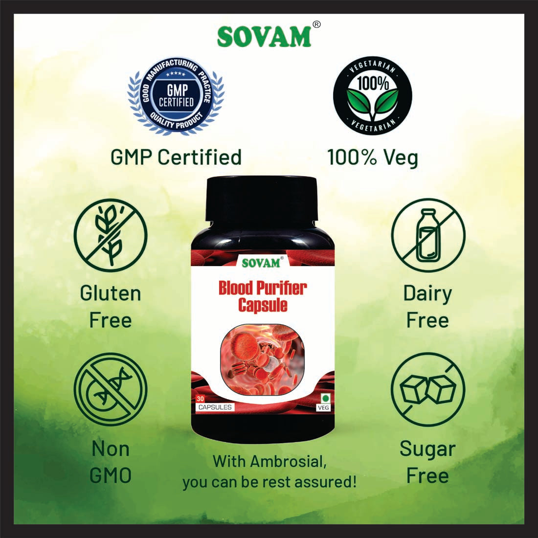 Sovam Blood Purifier 30 Capsule