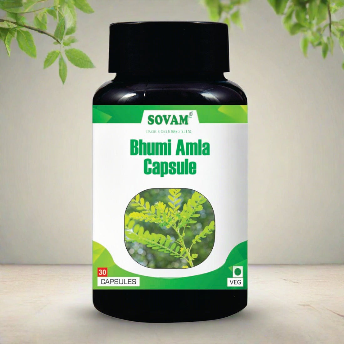 Sovam Bhumi Amla Ayurvedic Medicine | Sovam Ayurveda