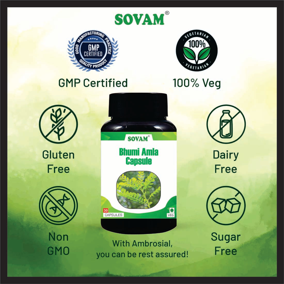 Sovam Bhumi Amla Ayurvedic Medicine | Sovam Ayurveda