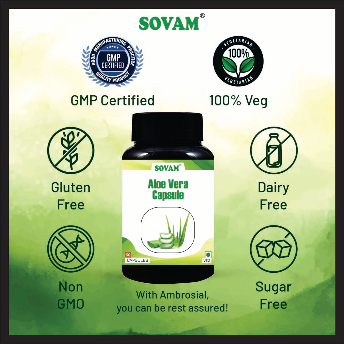 Sovam Aloe Vera 60 Capsule