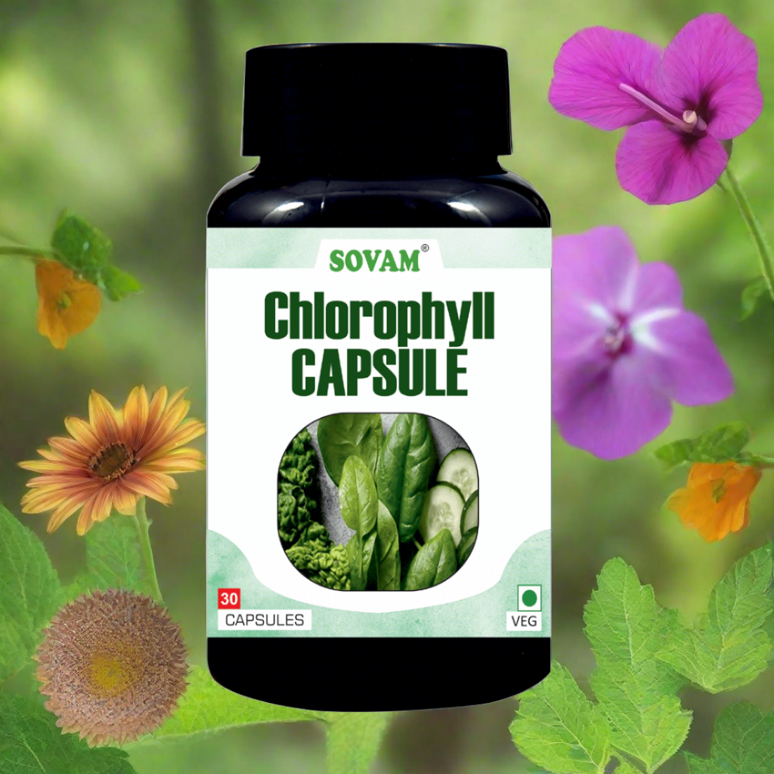 Chlorophyll  Capsule For Healthy Digestion - 30 Capsule | Pack of 1