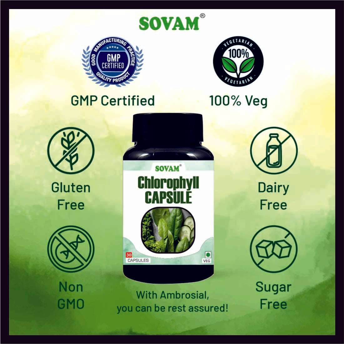 Chlorophyll  Capsule For Healthy Digestion - 30 Capsule | Pack of 1