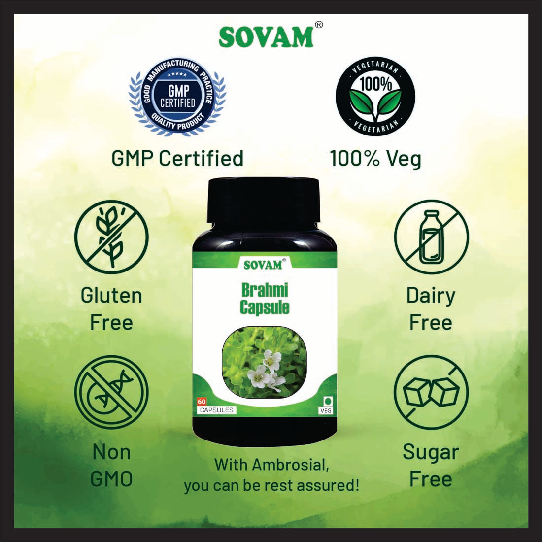 Sovam Brahmi 60 Capsule