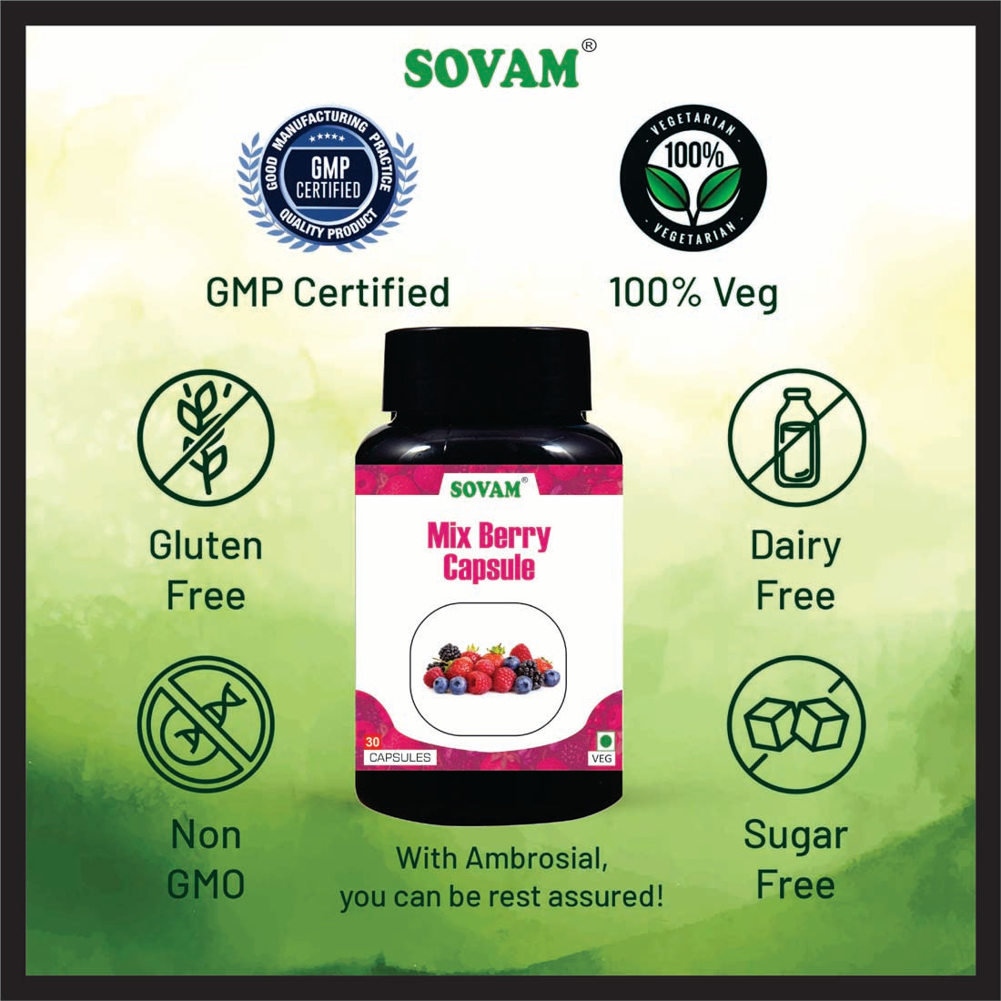 Sovam Mix Berry 30 Capsule