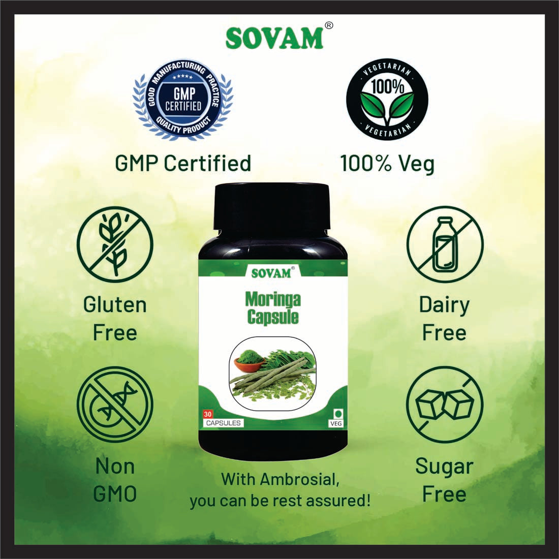 Sovam Moringa 30 Capsule