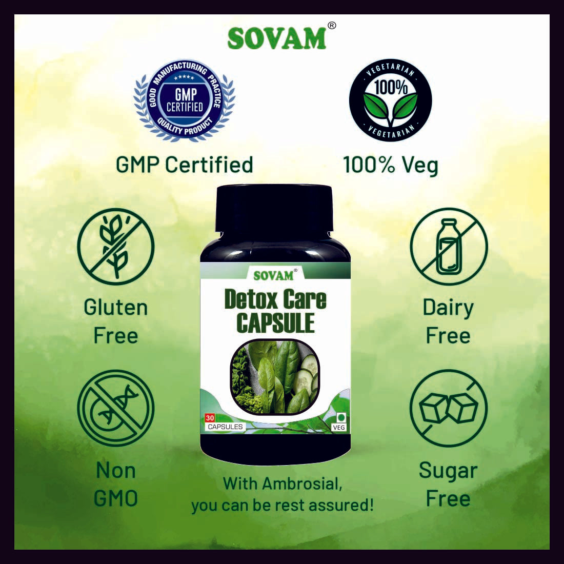 Sovam Detox Care 30 Capsules