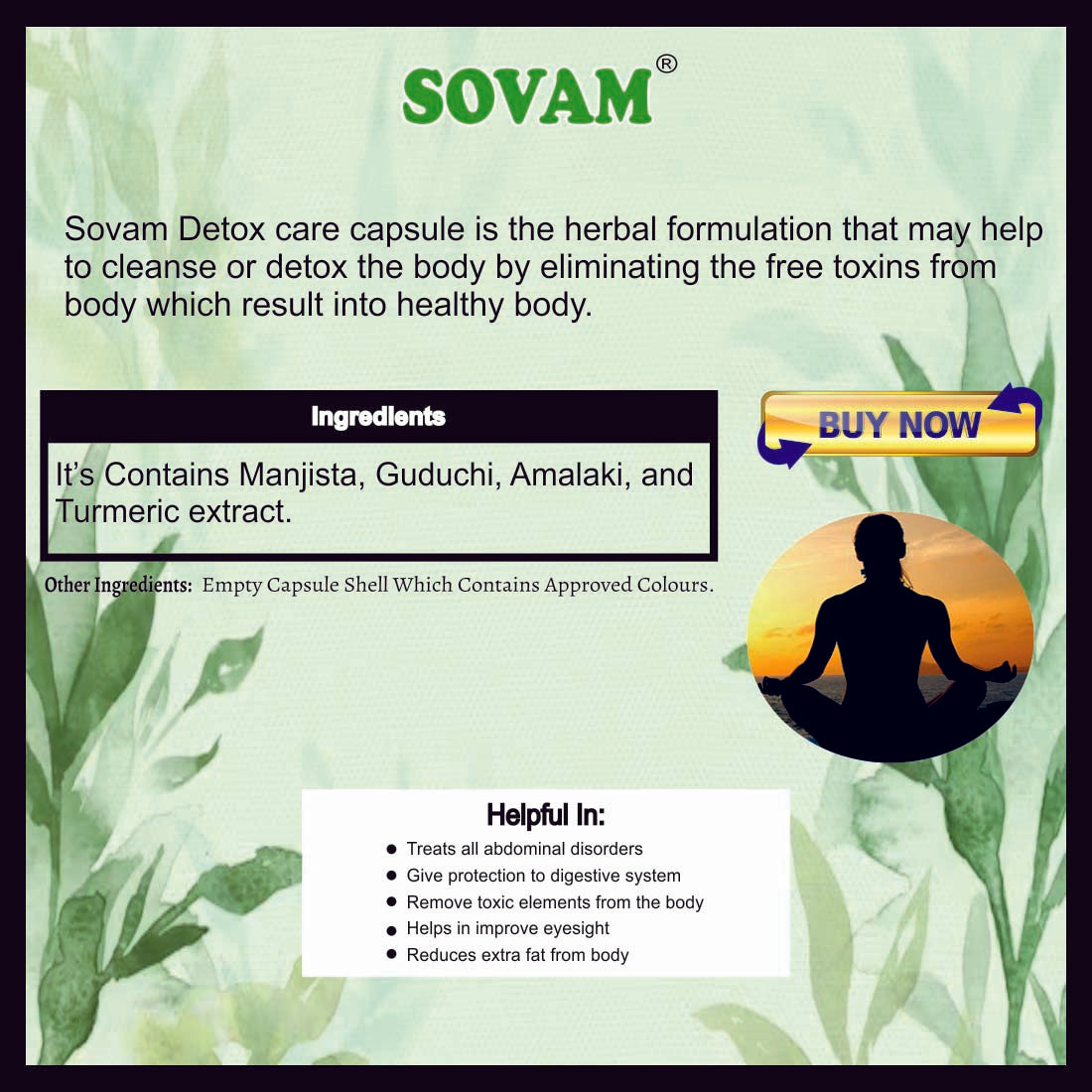 Sovam Detox Care 30 Capsules