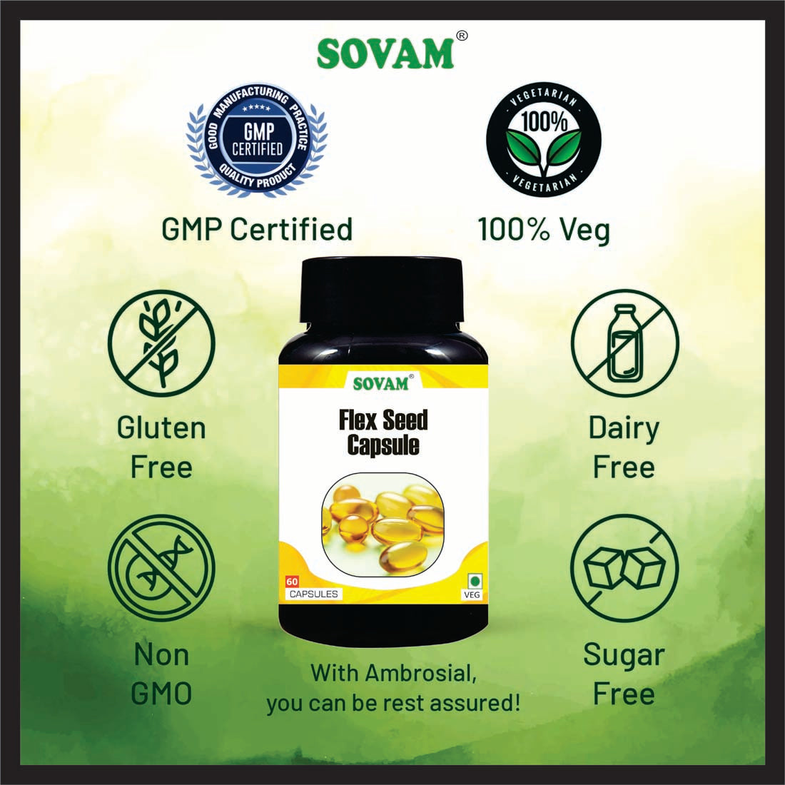 Sovam Flex Seed 60 Capsule