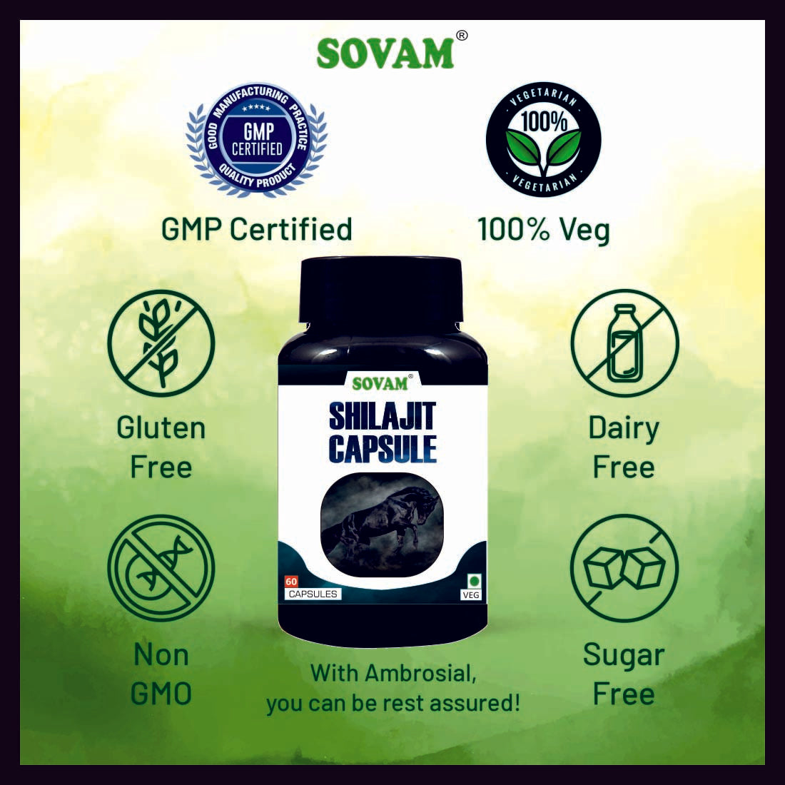 Sovam Shilajit 60 Capsules