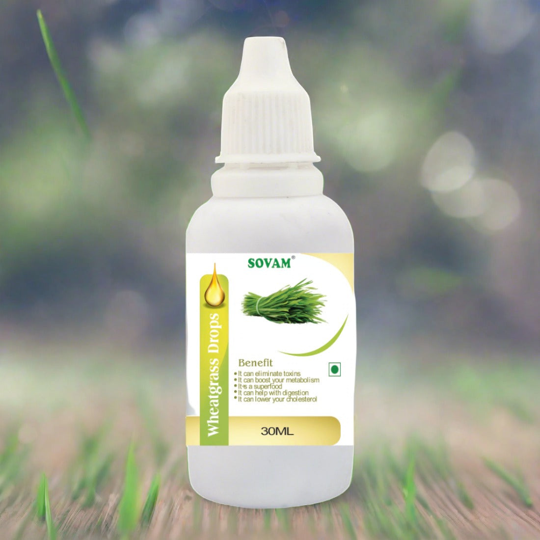 Wheatgrass Drop 30ml drop