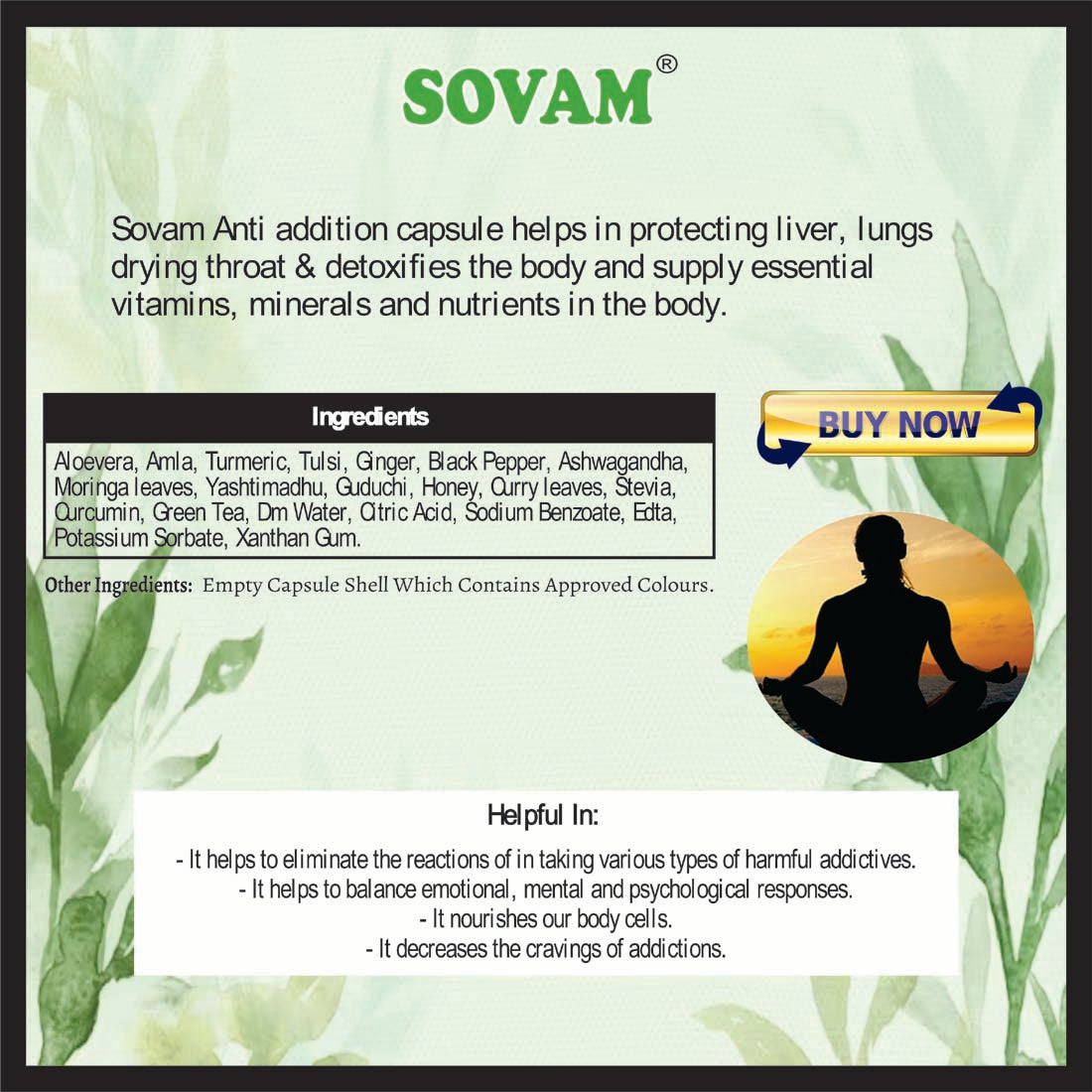 Sovam Anti Oxidant Plus Juice 500ml,