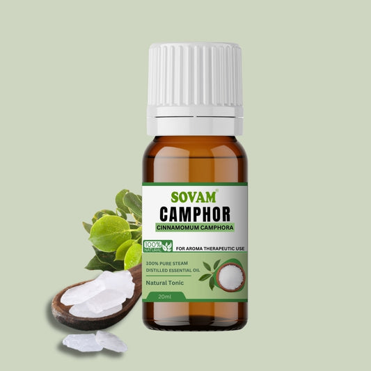 Camphor Essential Oil -20ml